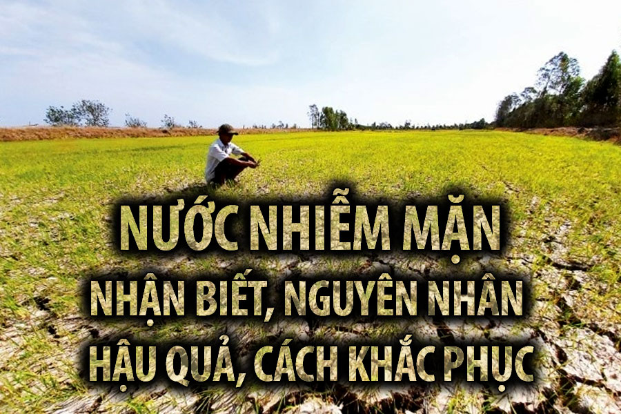 Những điều cần biết về 'nước nhiễm mặn'