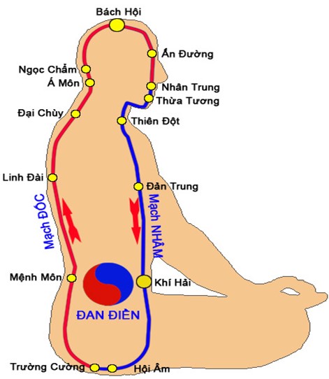 Luyện Tập Khí Công: Sự Kết Hợp Giữa Hoạt Động Và Nghỉ Ngơi