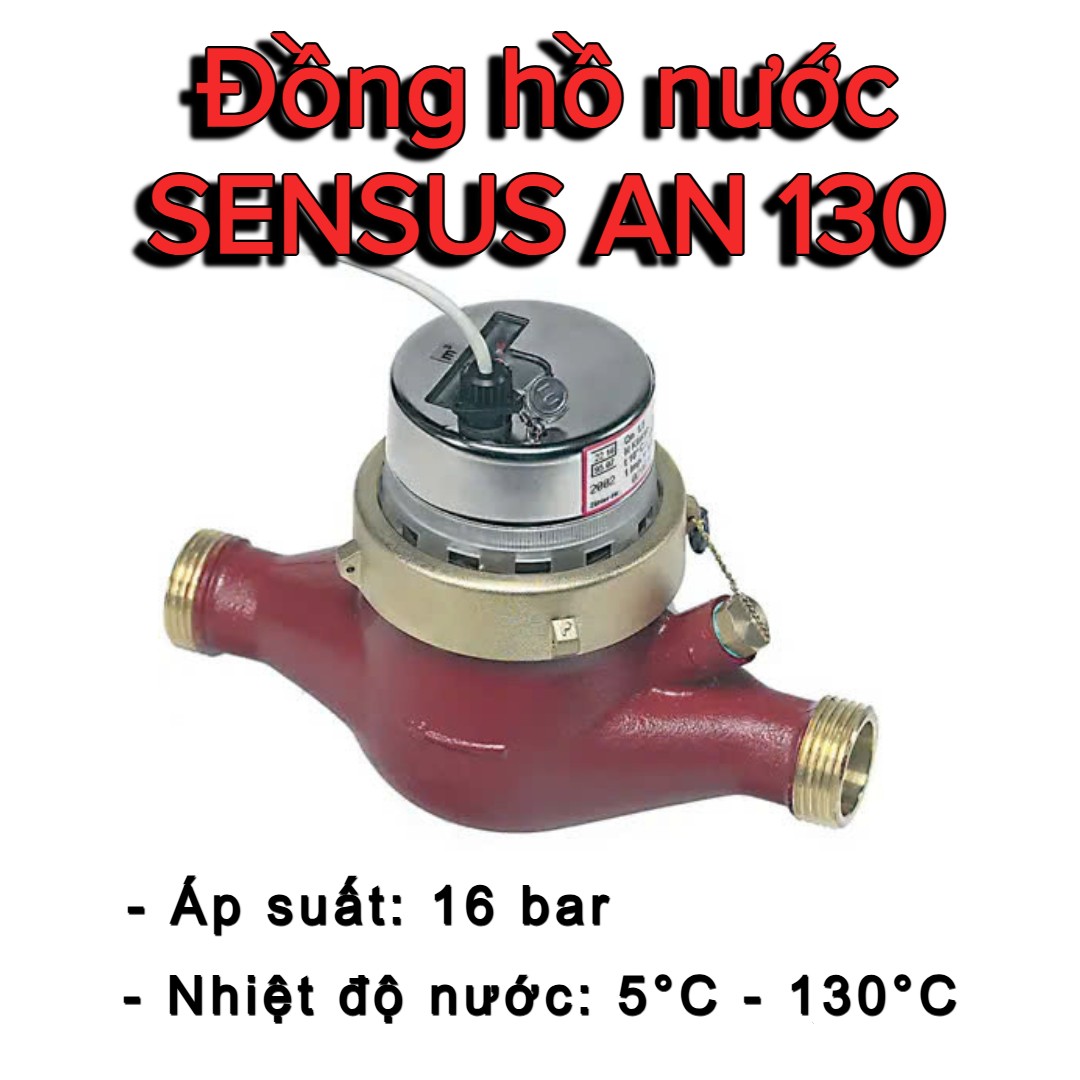 Đồng hồ nước SENSUS AN 130