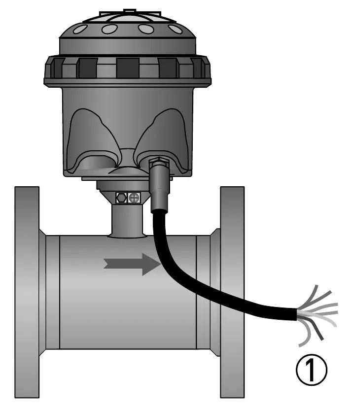Hình 4-2: Cáp ngõ ra ở bản compact IP68 — ① các dây mã màu – KROHNE WATERFLUX 3070