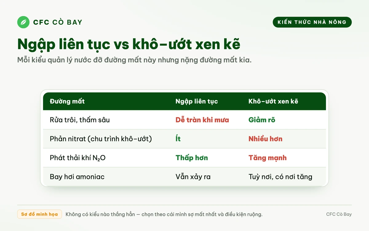 Sơ đồ so sánh đường mất đạm giữa ruộng ngập liên tục và ruộng khô–ướt xen kẽ