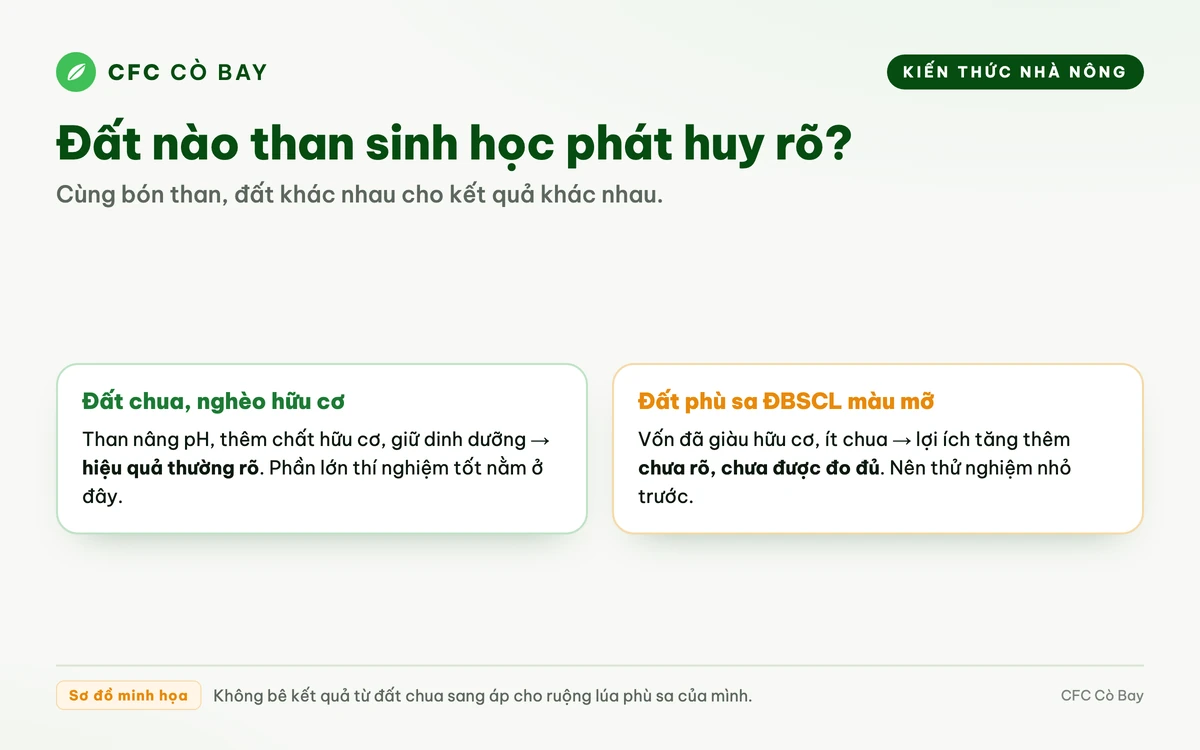 Sơ đồ vì sao than sinh học cho kết quả rõ trên đất chua nghèo hữu cơ hơn đất phù sa màu mỡ