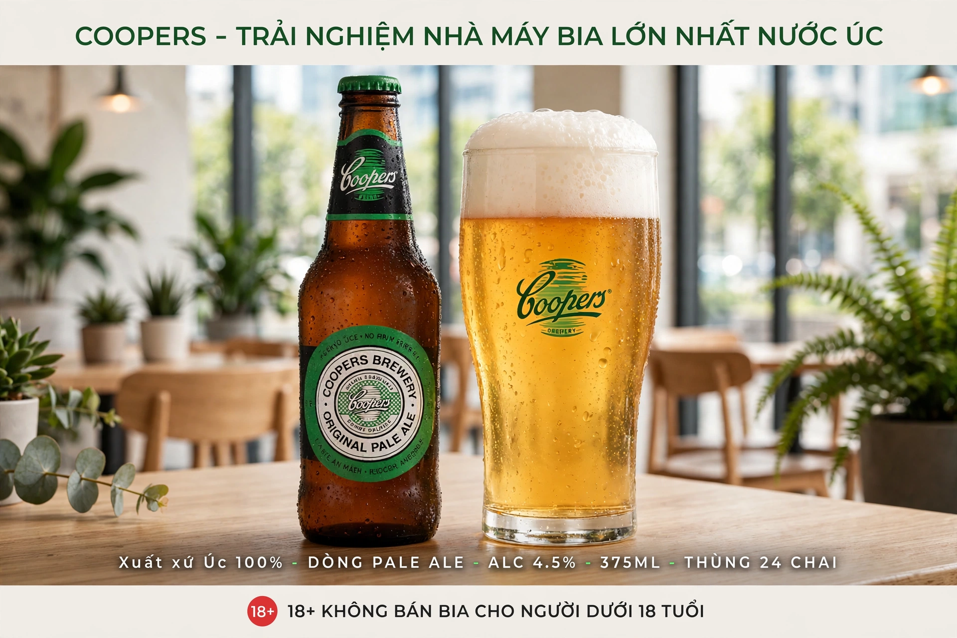 Bia Úc Coopers Original Pale Ale 4.5% 375ml - Thùng 24 Chai Nhập Khẩu Úc