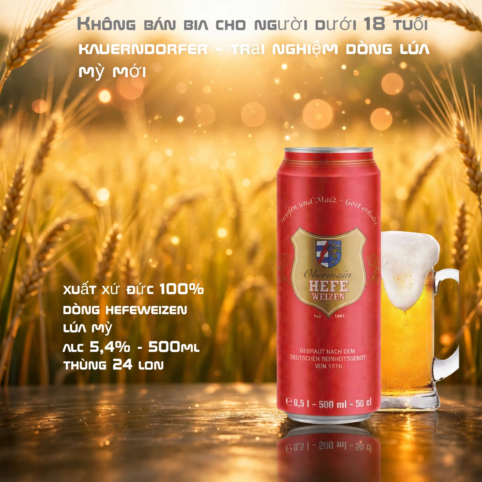 Bia Đức Obermain Hefe Weizen 500ml - Bia Lúa Mỳ Kauerdorfer 5.4% - Thùng 24 Lon Nhập Khẩu Chính Hãng