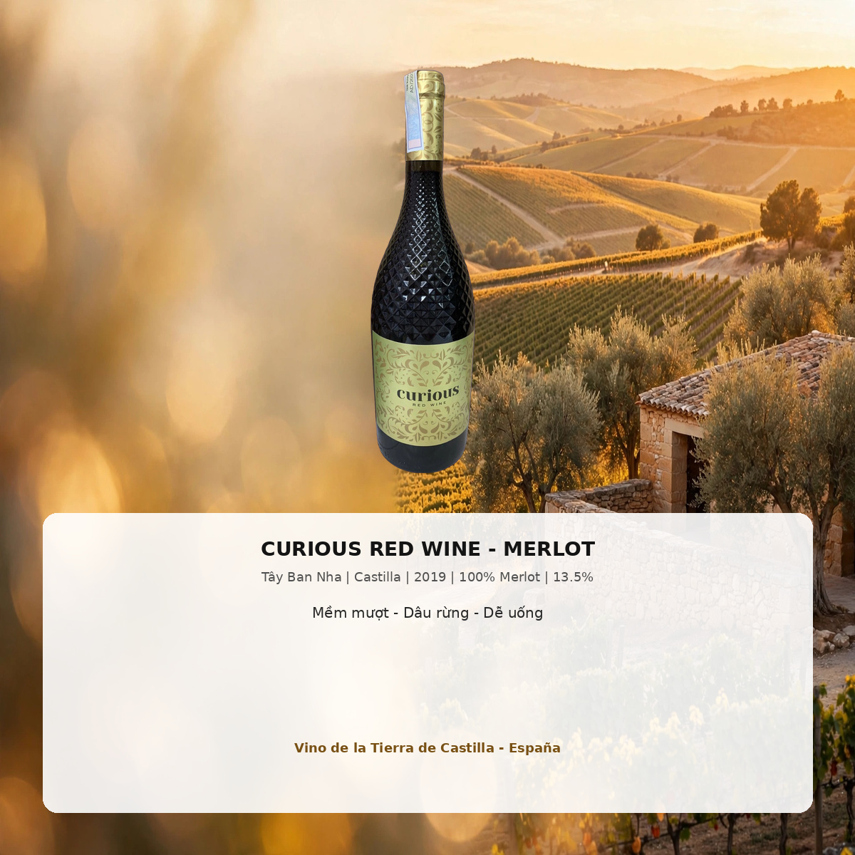 Rượu Vang Đỏ Tây Ban Nha Curious Merlot 2019 - Vino de la Tierra de Castilla 750ml