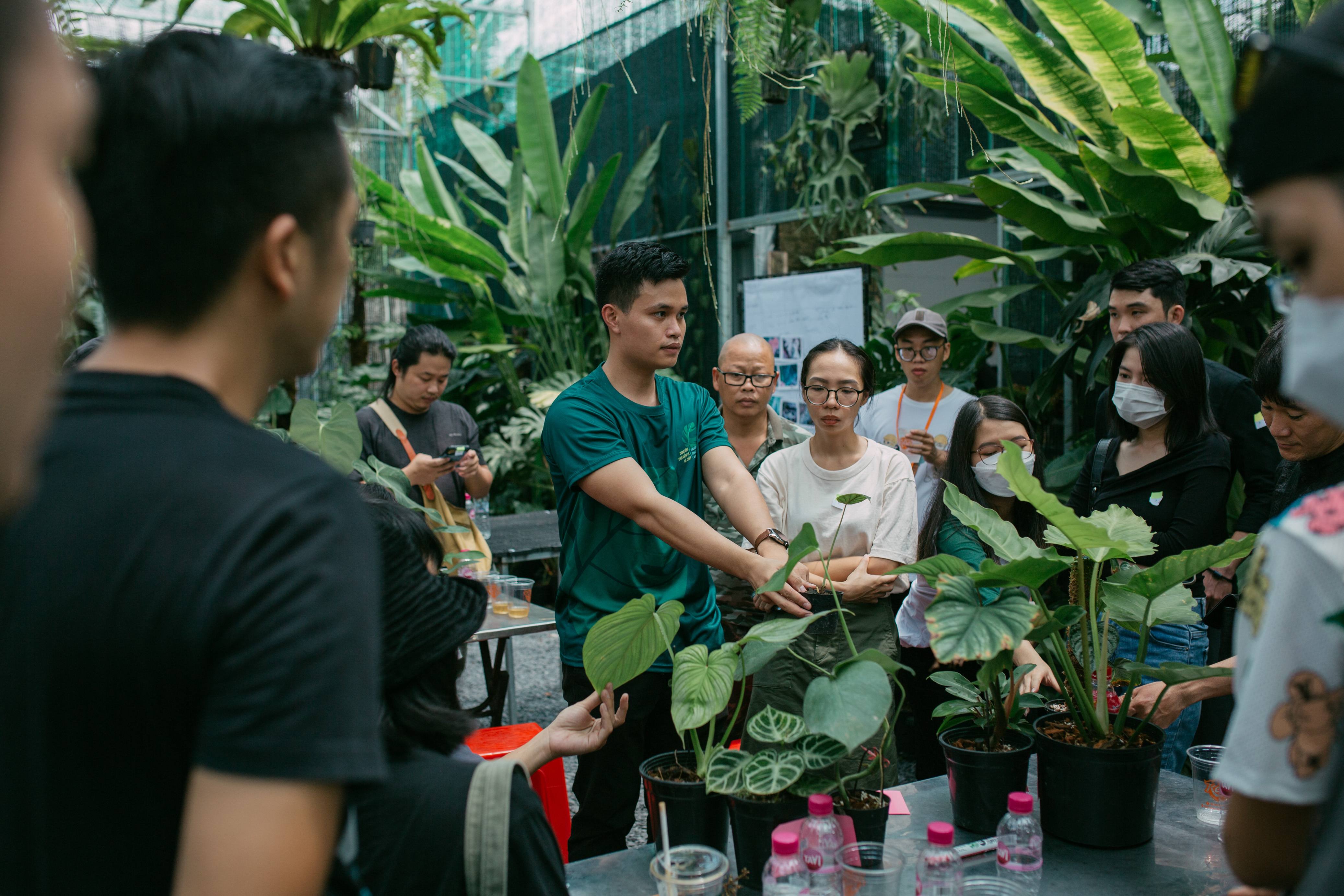 CÁC LỚP HỌC VỀ KIỂNG LÁ