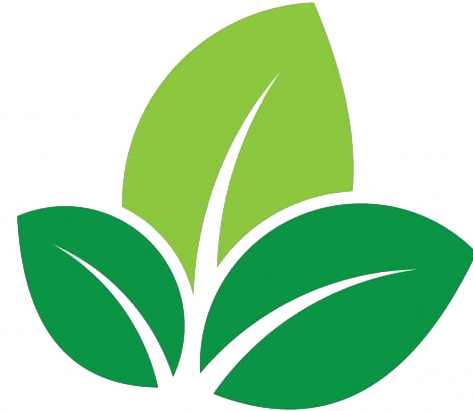 Chính sách đổi trả