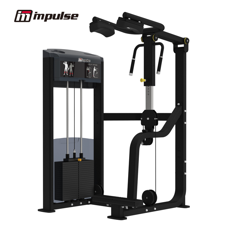 IF9316 - CALF RAISE (200LBS)