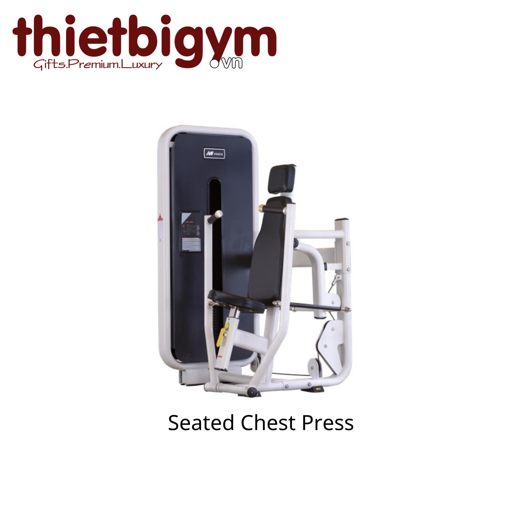 Máy tập gym thương mại AFS01