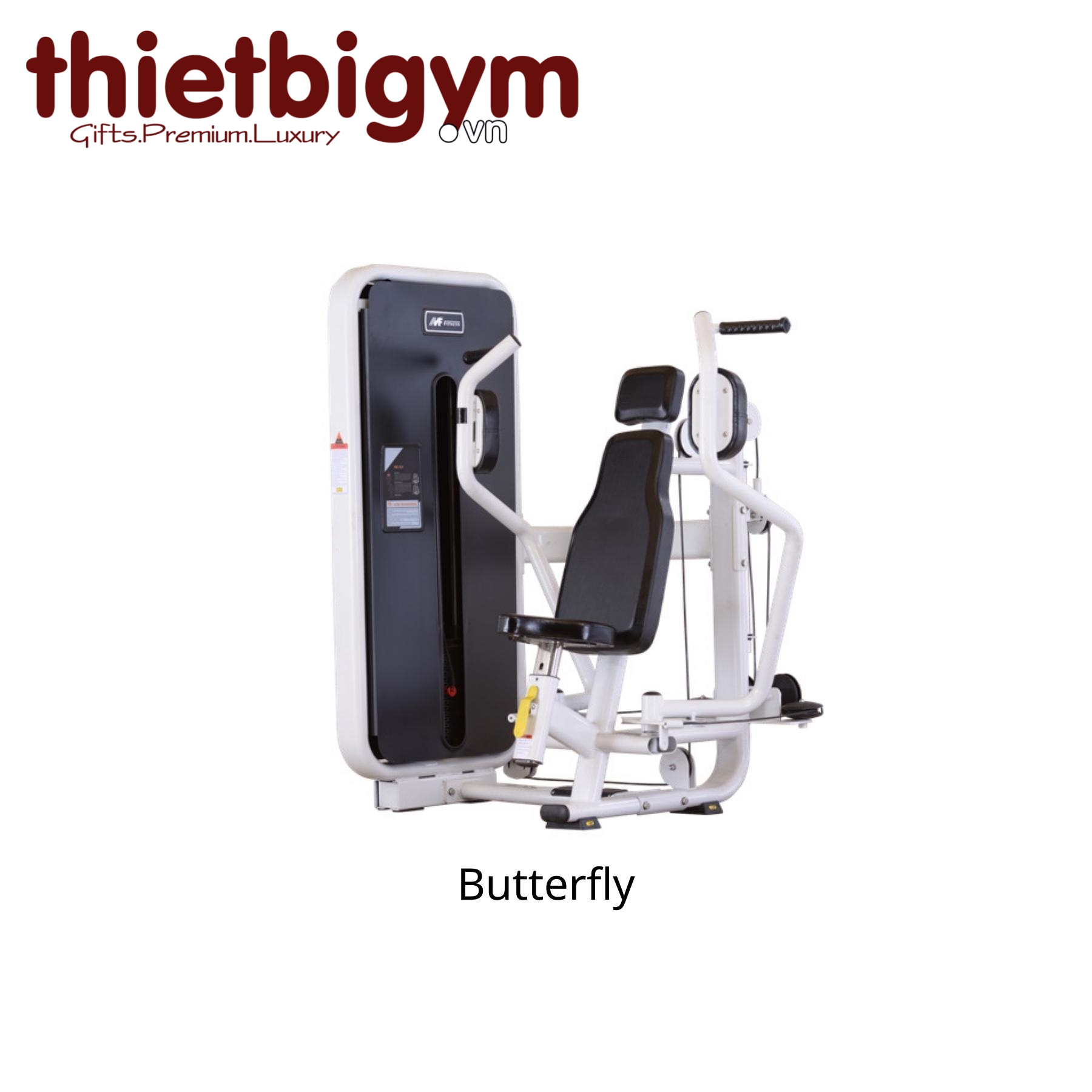 Máy tập gym thương mại AFS02