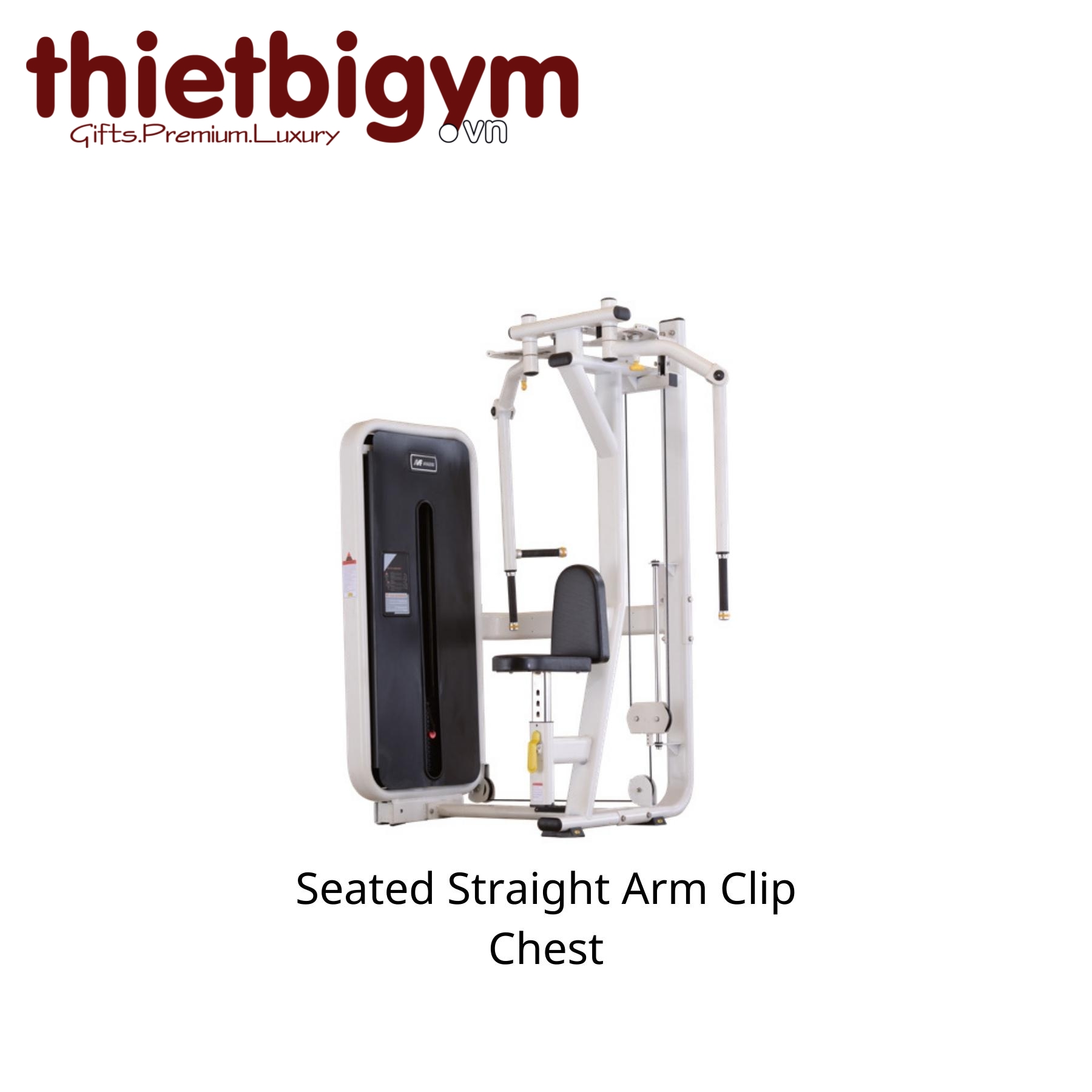 Máy tập gym thương mại AFS02A