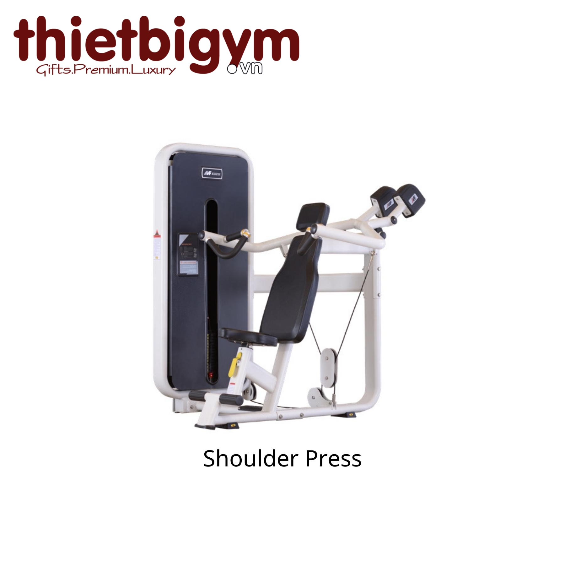 Máy tập gym thương mại AFS03