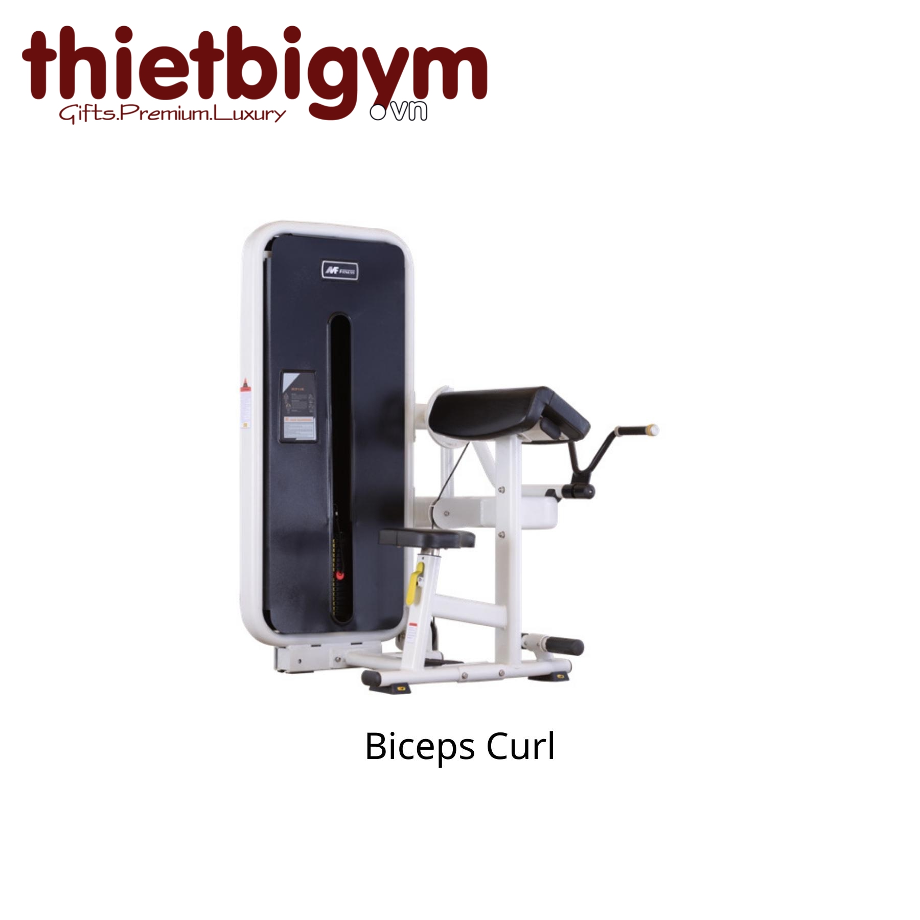 Máy tập gym thương mại AFS06