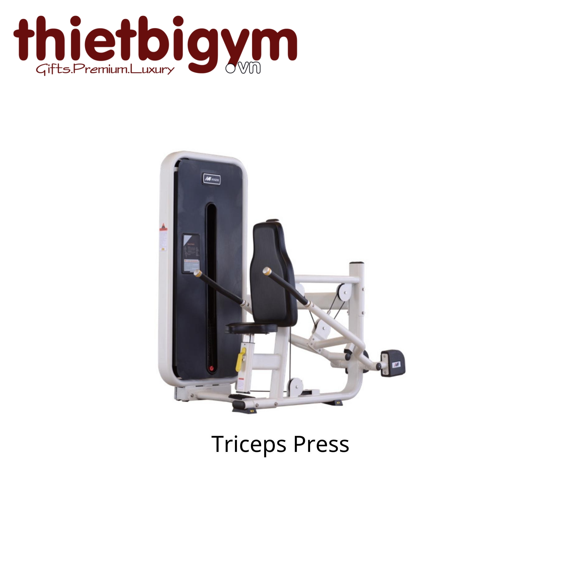 Máy tập gym thương mại AFS07