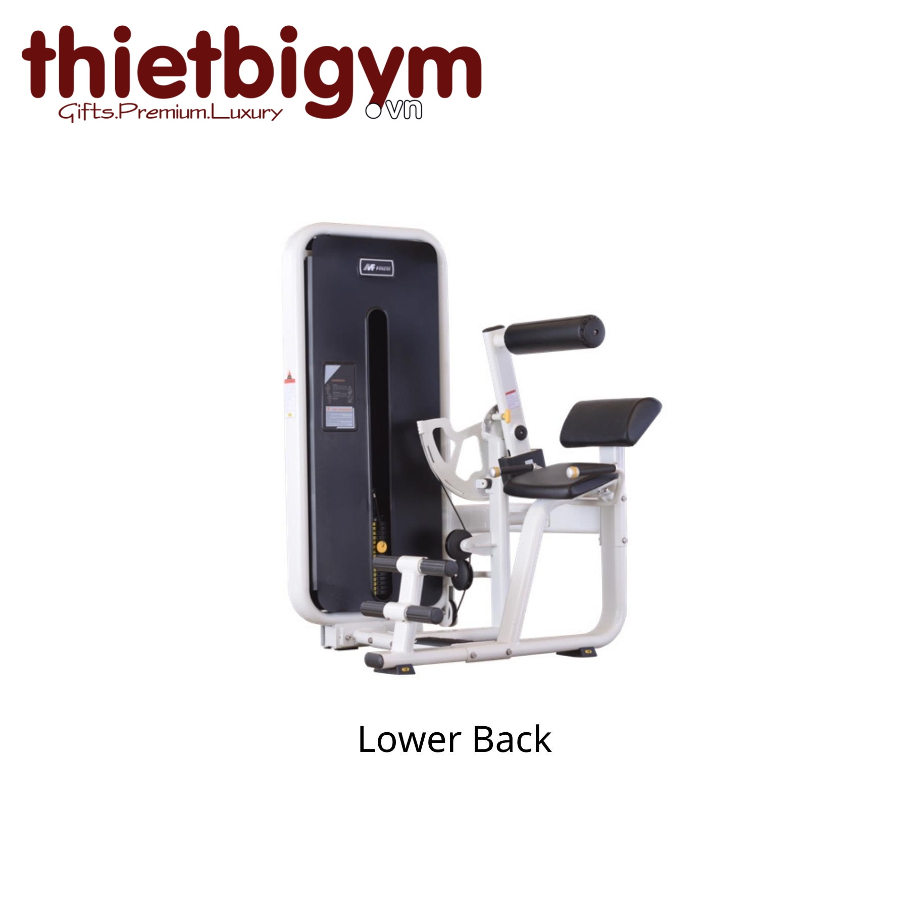 Máy tập gym thương mại AFS09