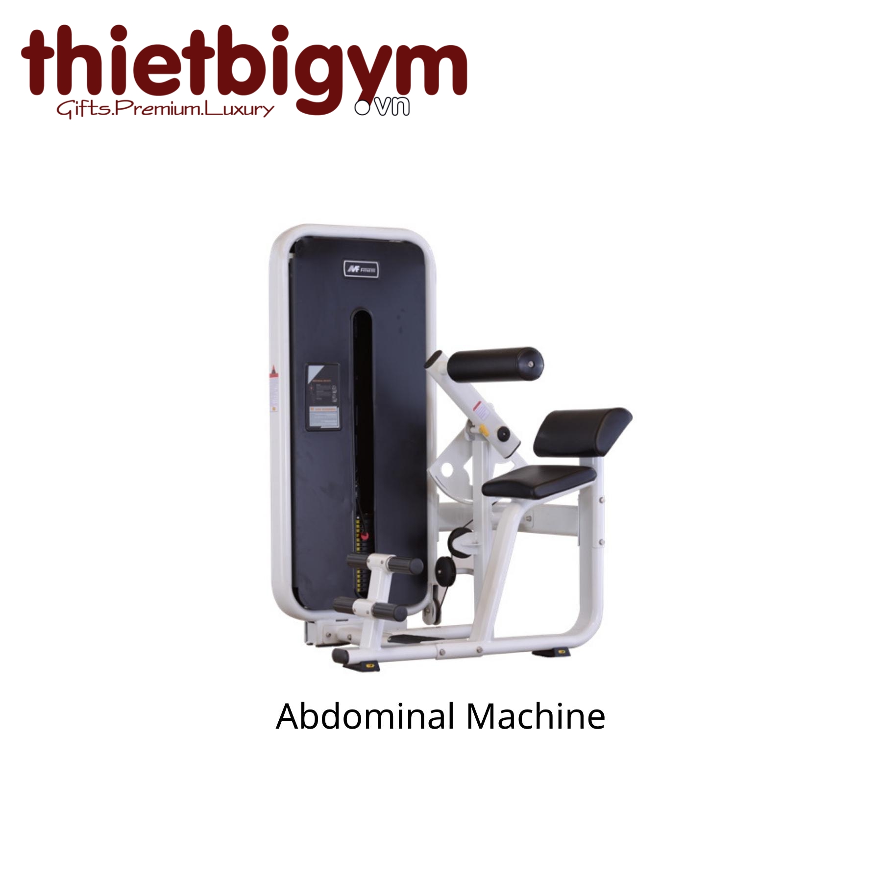 Máy tập gym thương mại AFS10