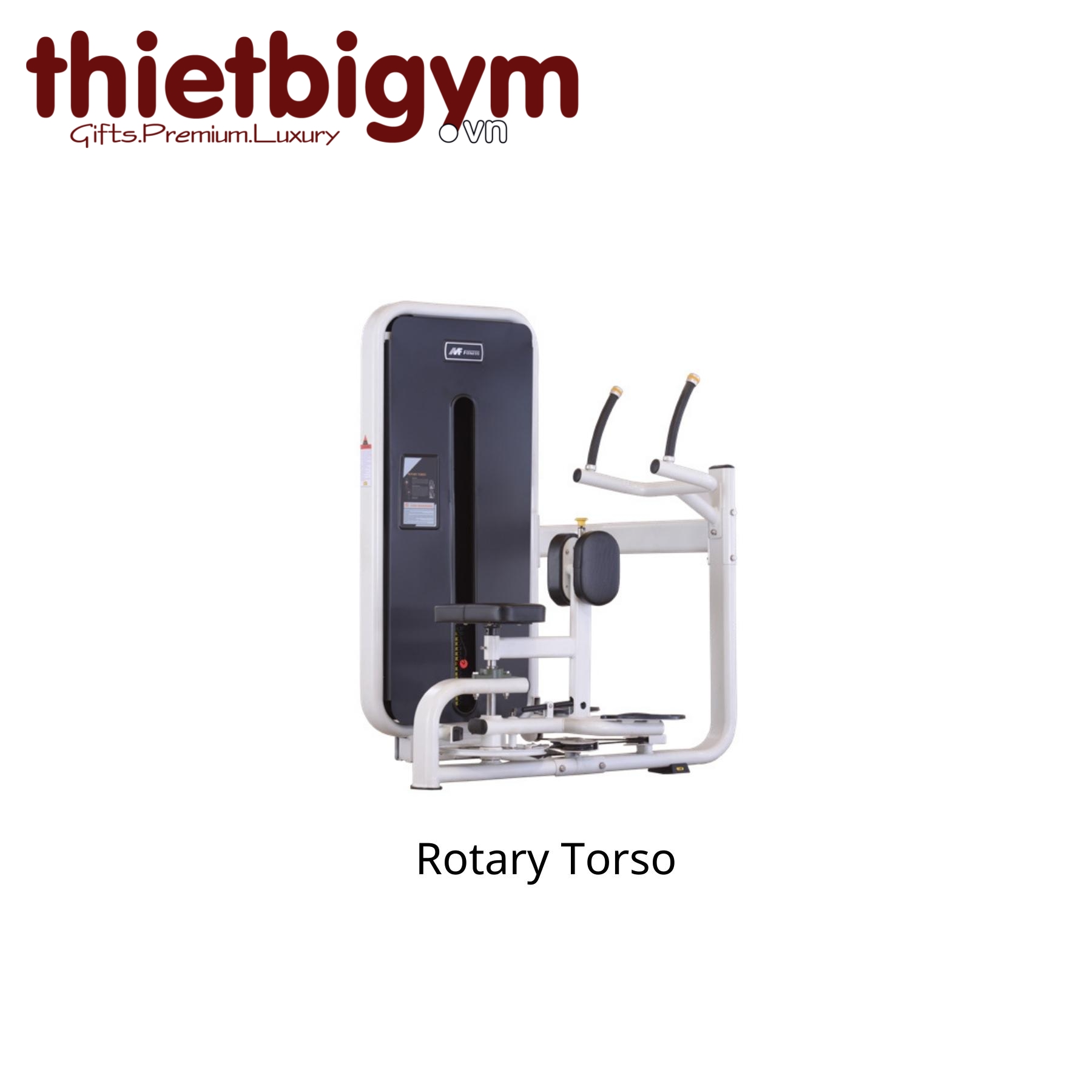 Máy tập gym thương mại AFS11