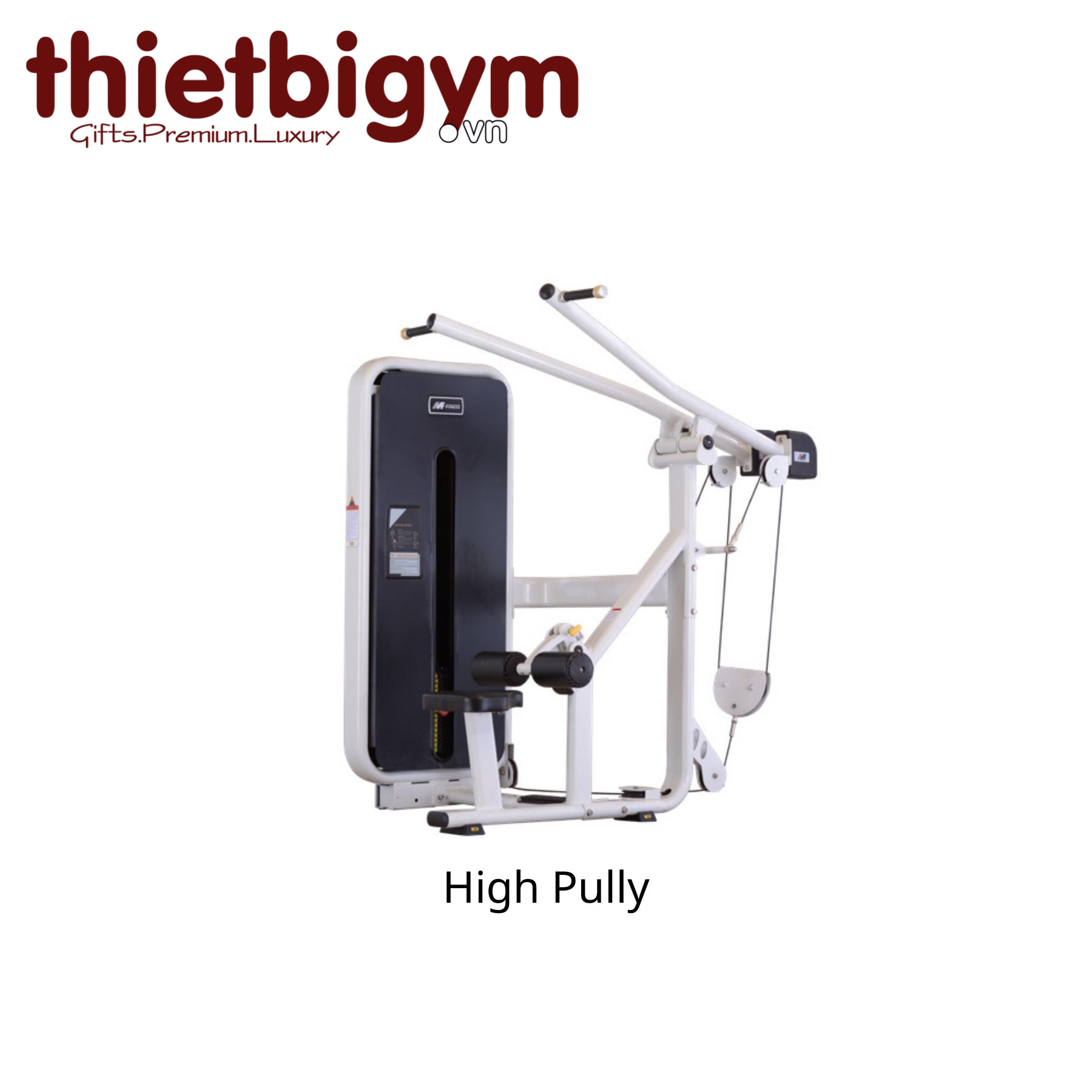 Máy tập gym thương mại AFS12