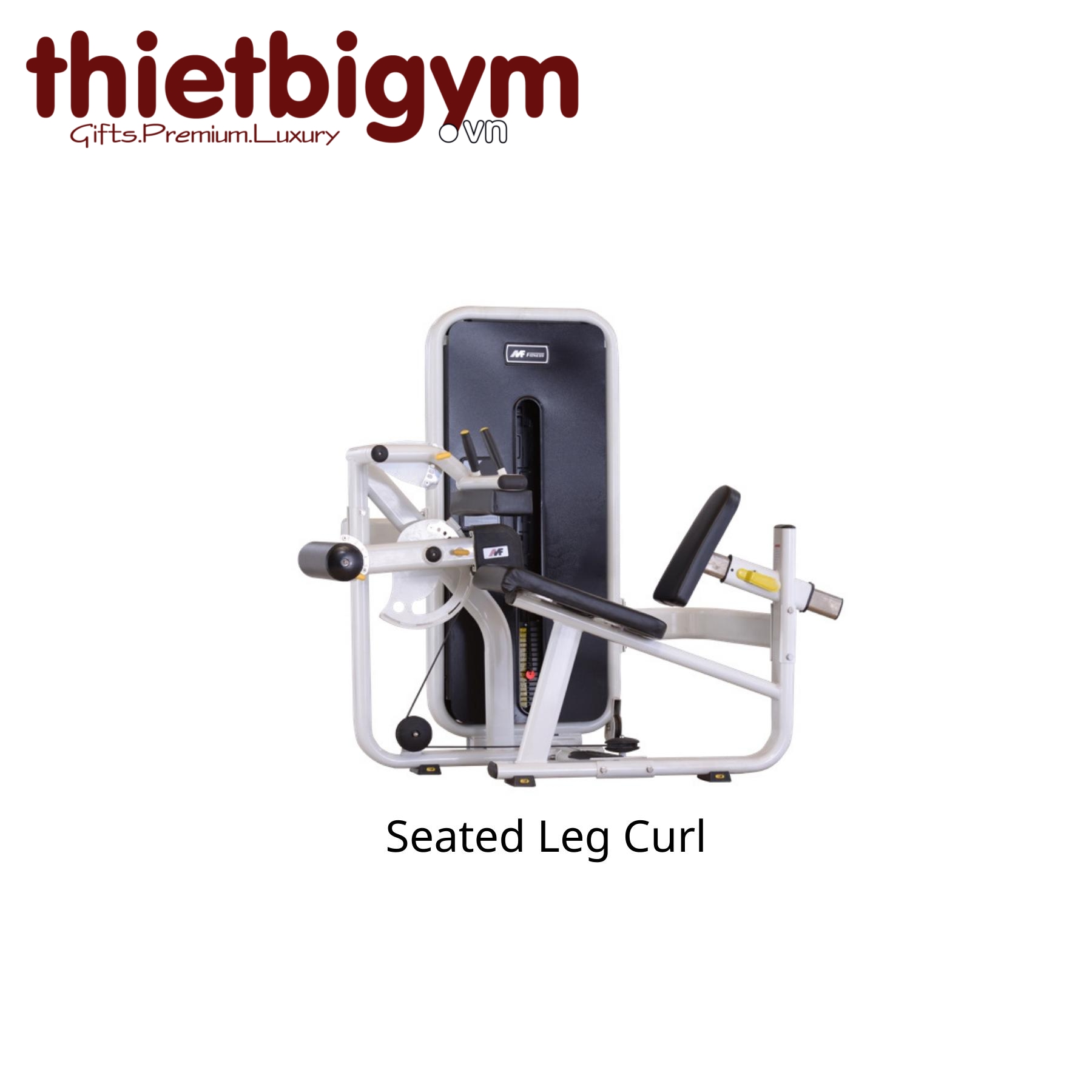 Máy tập gym thương mại AFS13