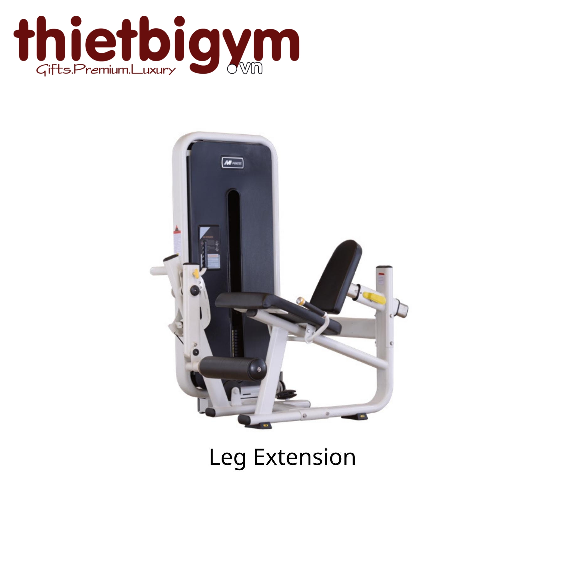 Máy tập gym thương mại AFS14