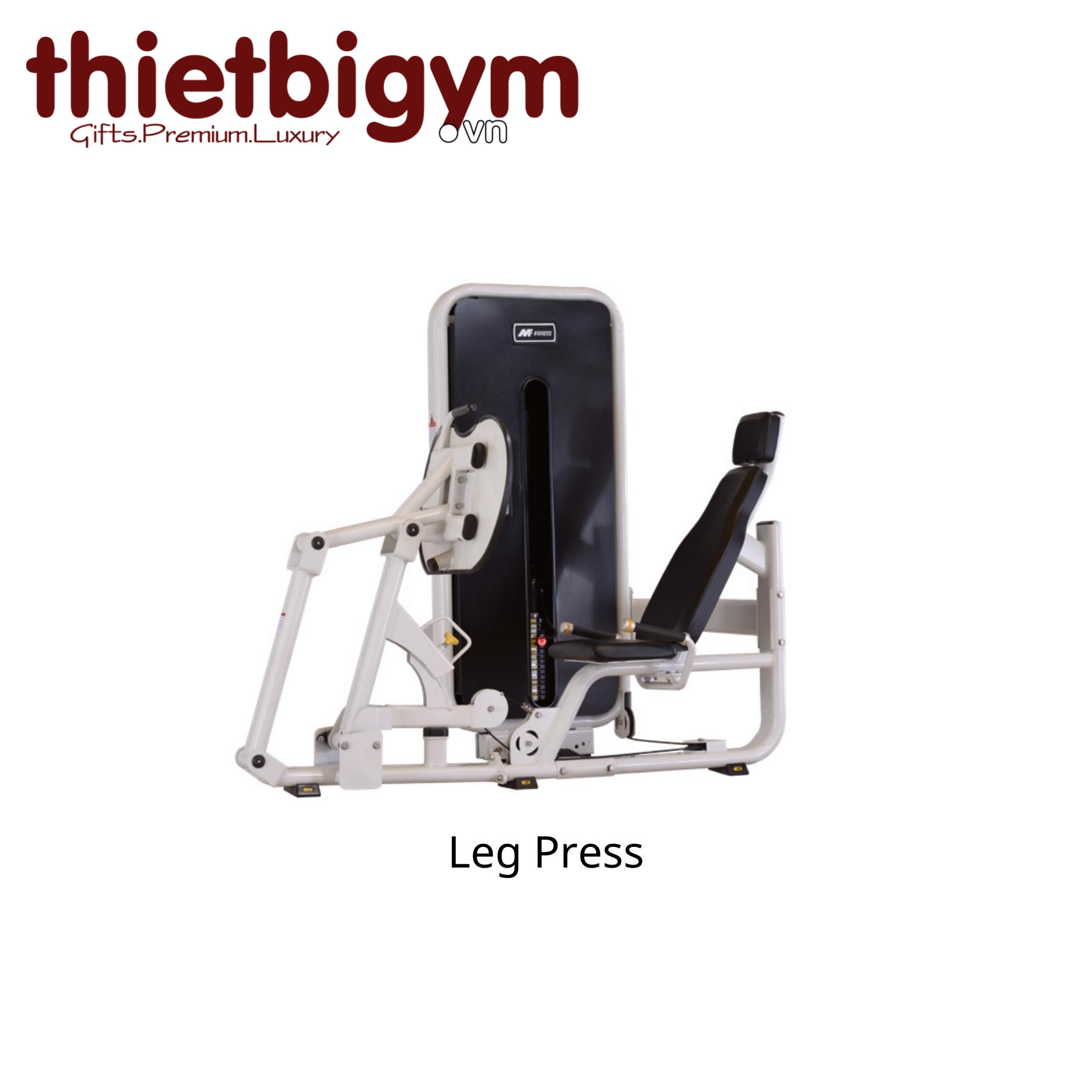 Máy tập gym thương mại AFS15