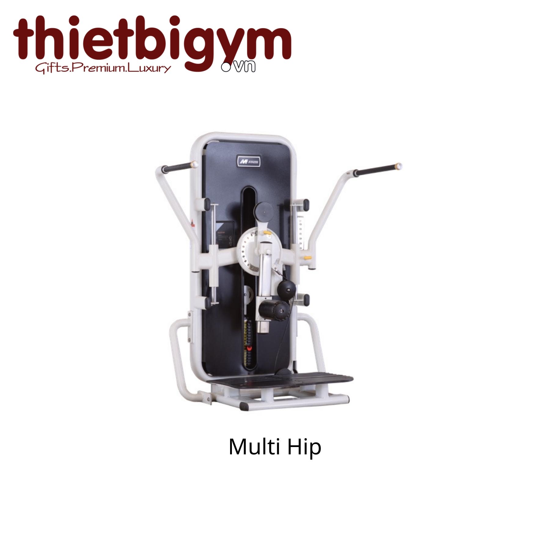 Máy tập gym thương mại AFS16