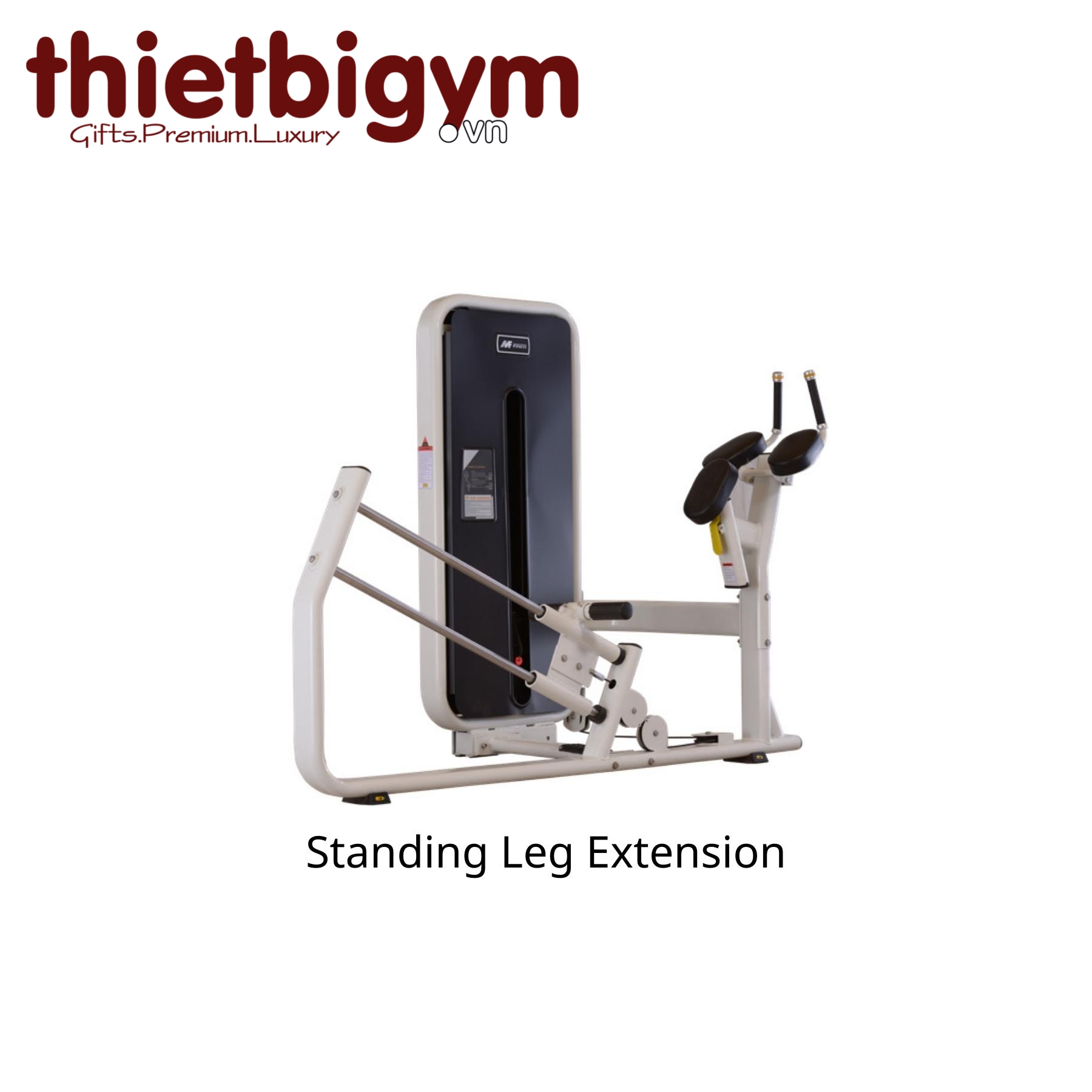 Máy tập gym thương mại AFS16A