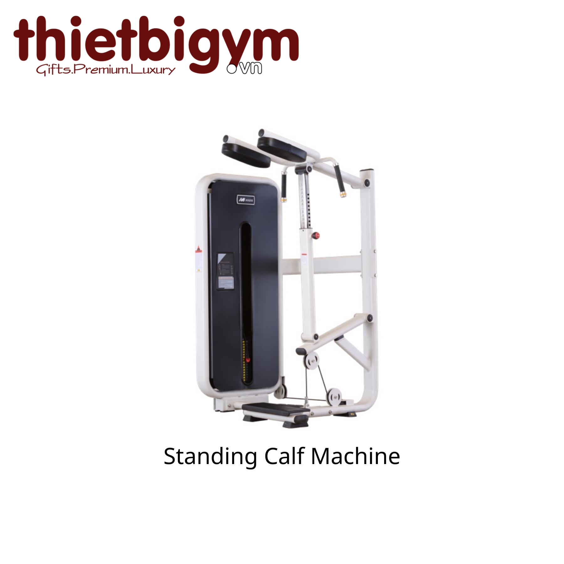 Máy tập gym thương mại AFS17A