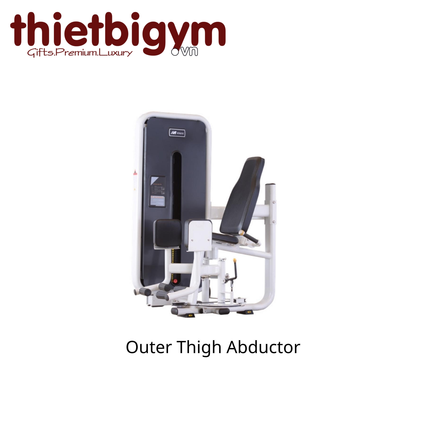 Máy tập gym thương mại AFS19