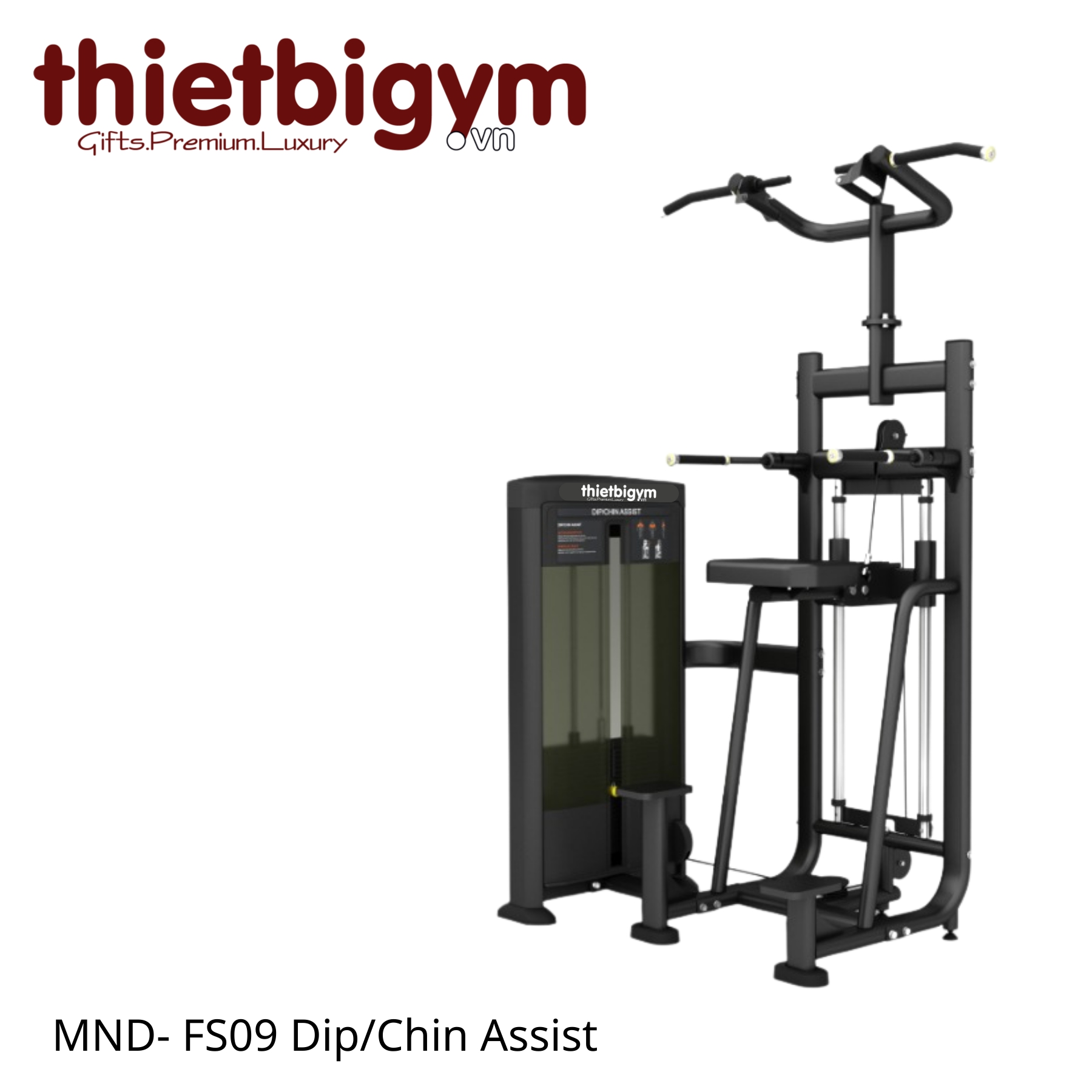 Máy tập gym thương mại FS09