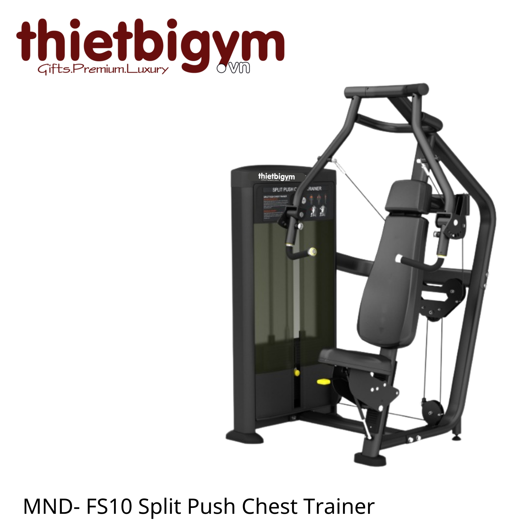 Máy tập gym thương mại FS10