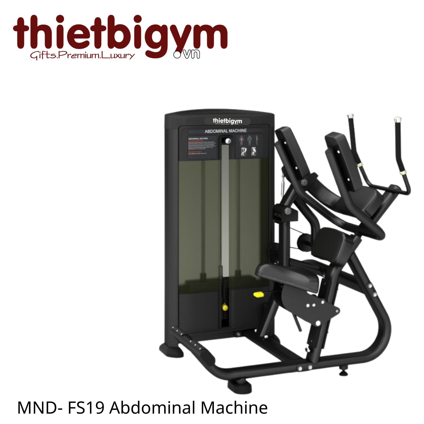 Máy tập gym thương mại FS19