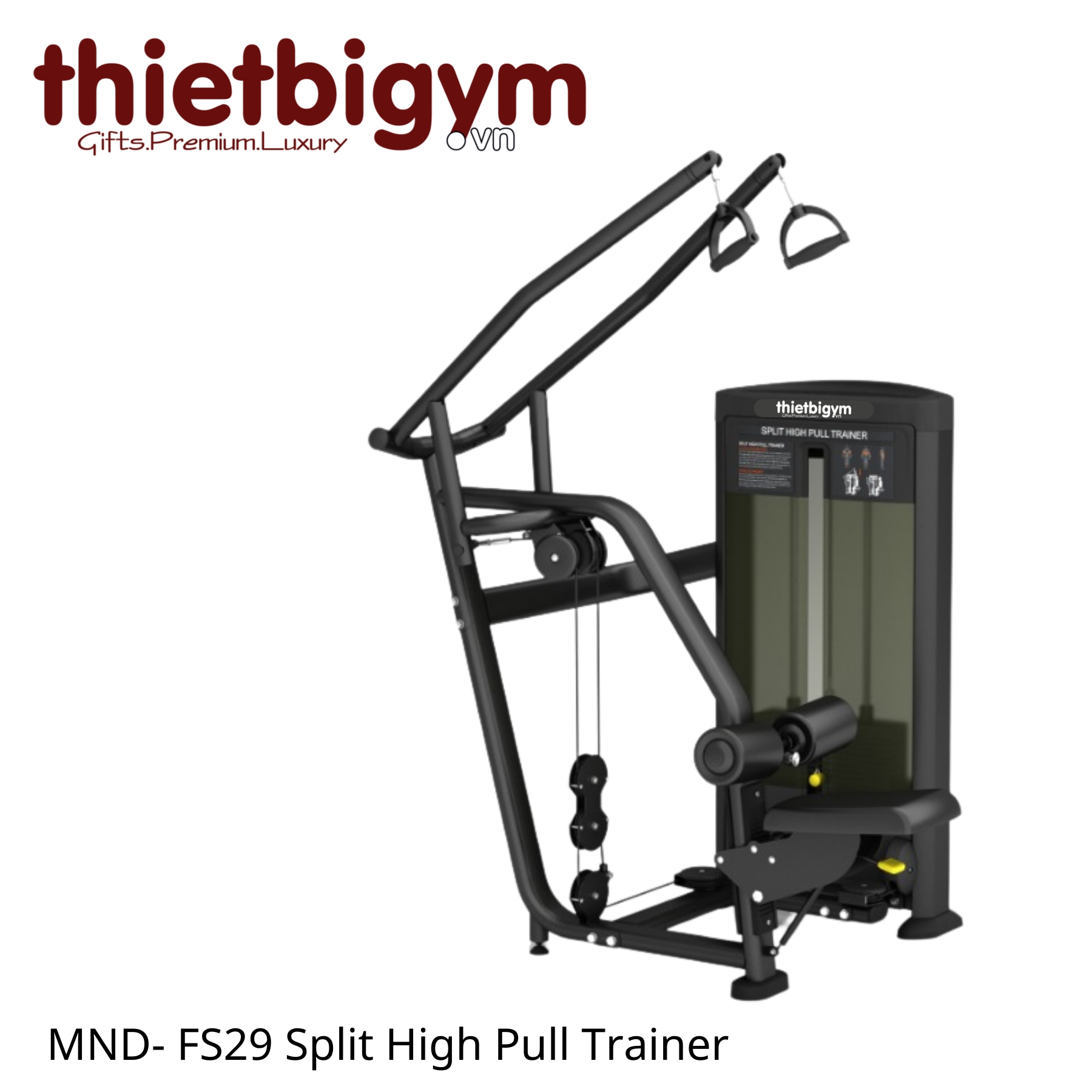 Máy tập gym thương mại FS29