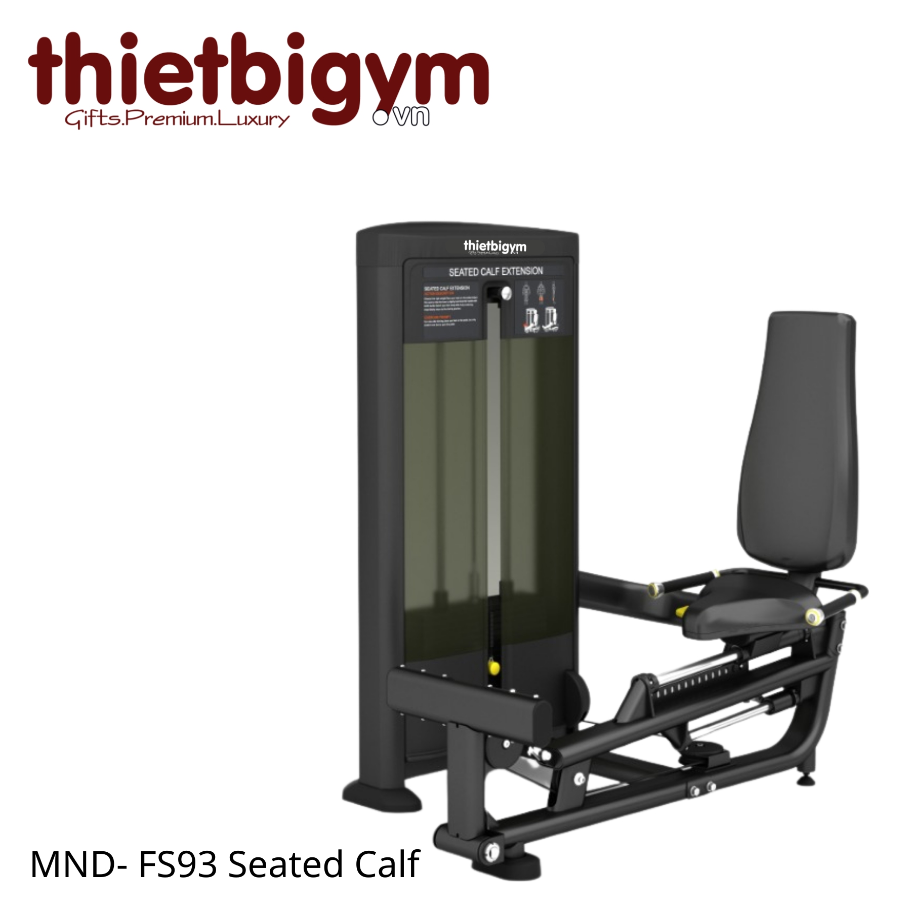 Máy tập gym thương mại FS93