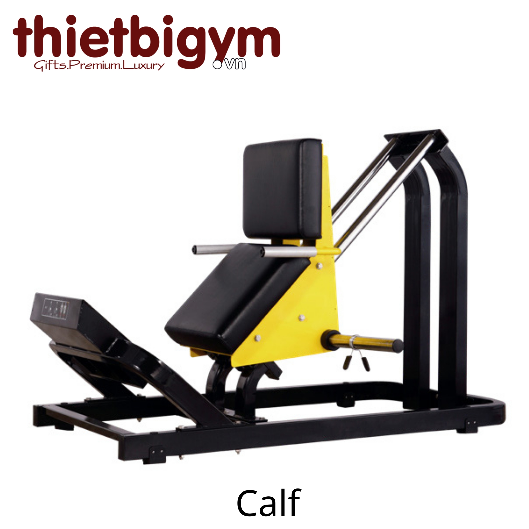 Máy tập gym thương mại A00