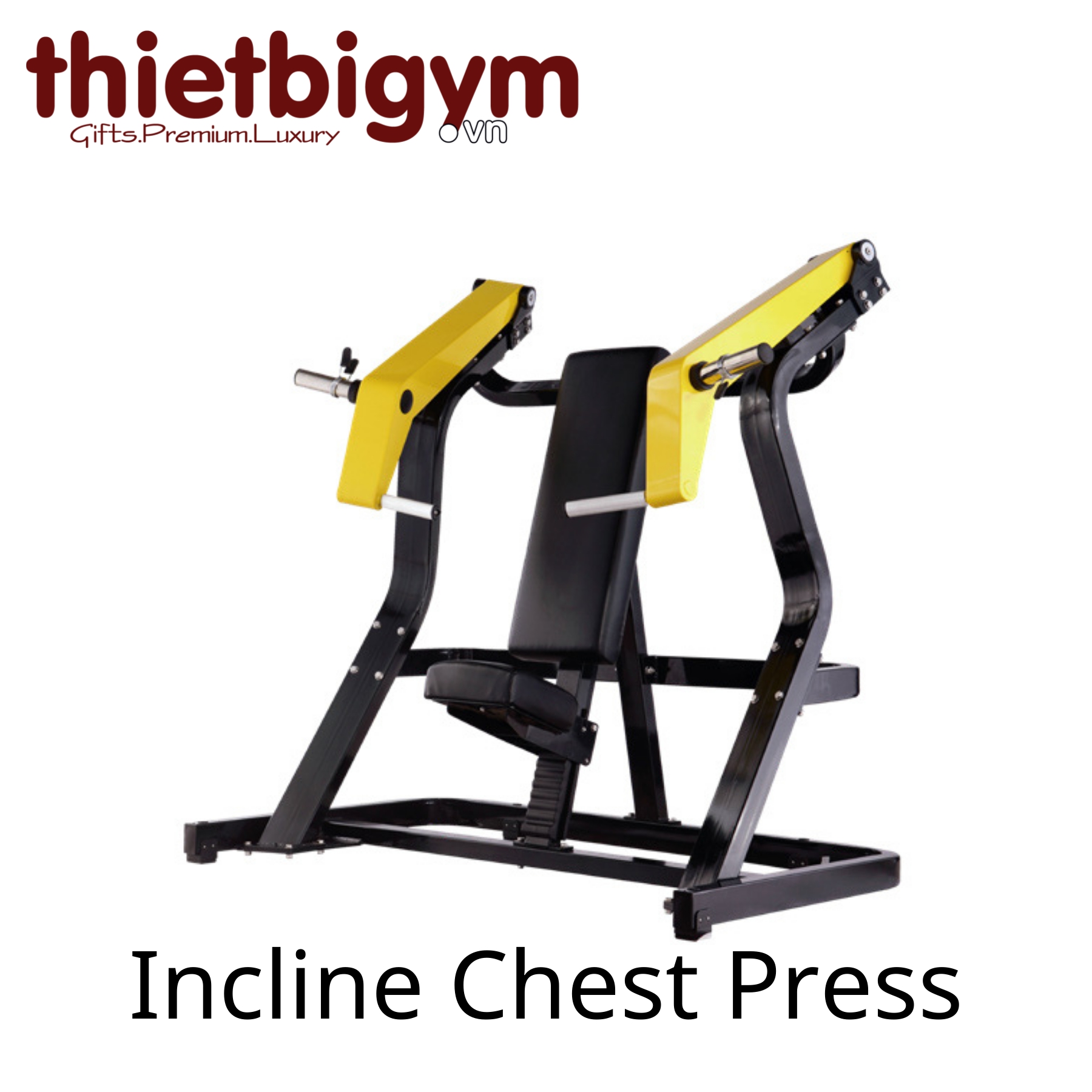 Máy tập gym thương mại A02