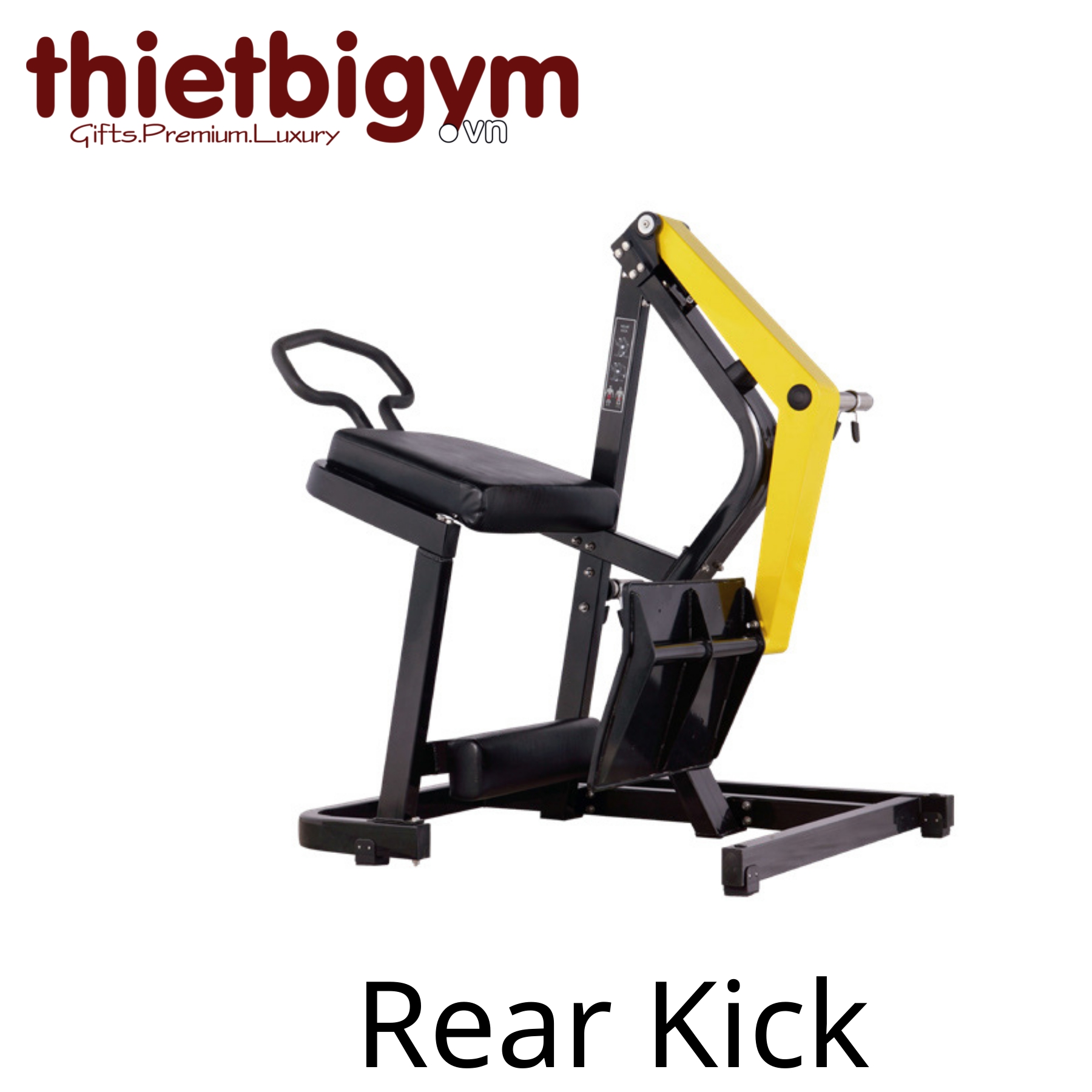 Máy tập gym thương mại A08