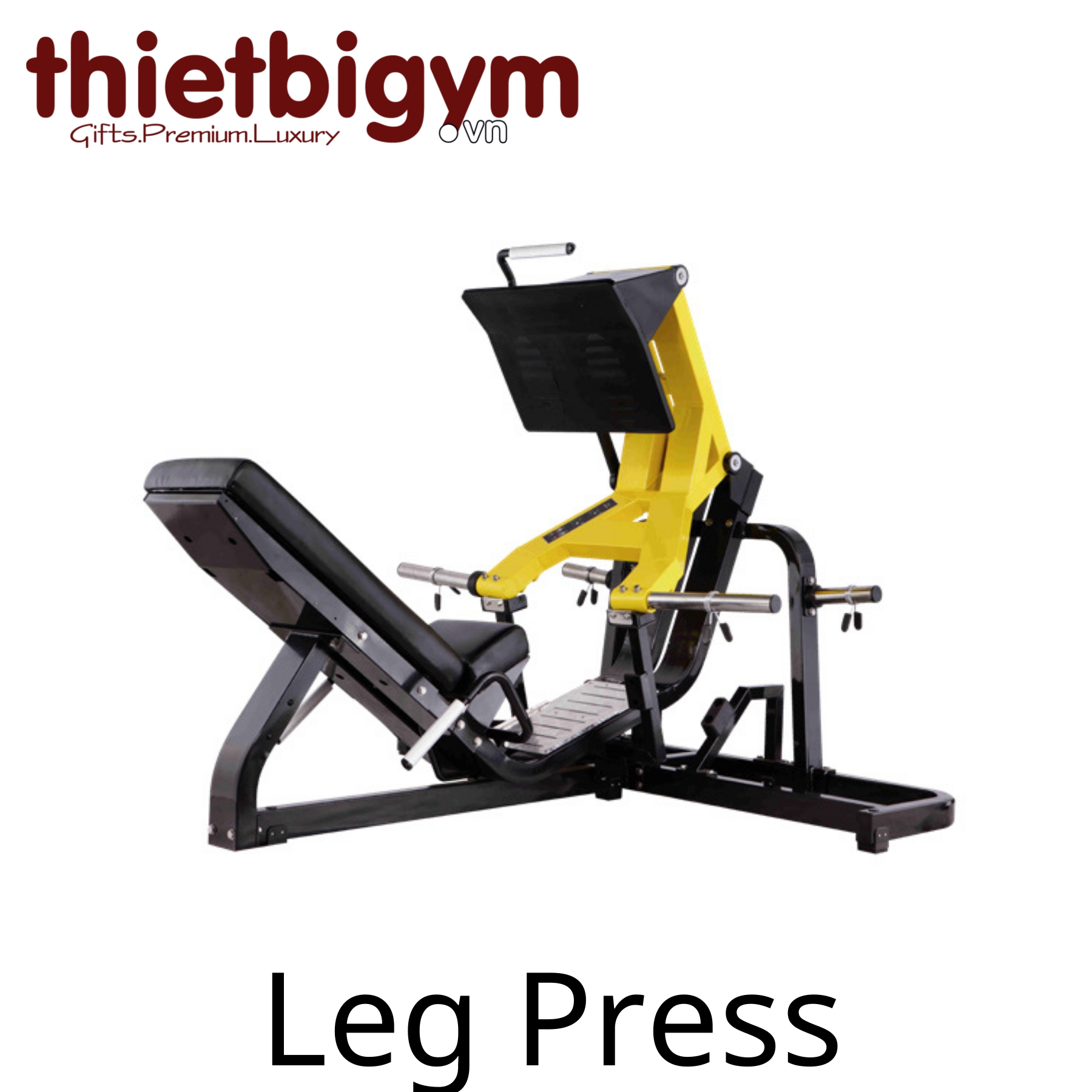 Máy tập gym thương mại A09