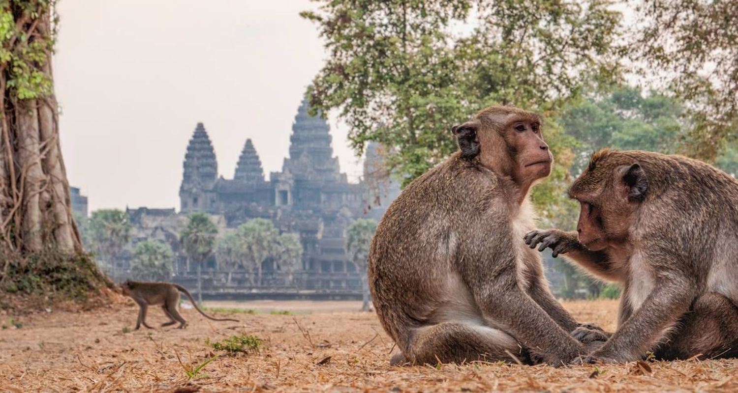 Le Cambodge authentique