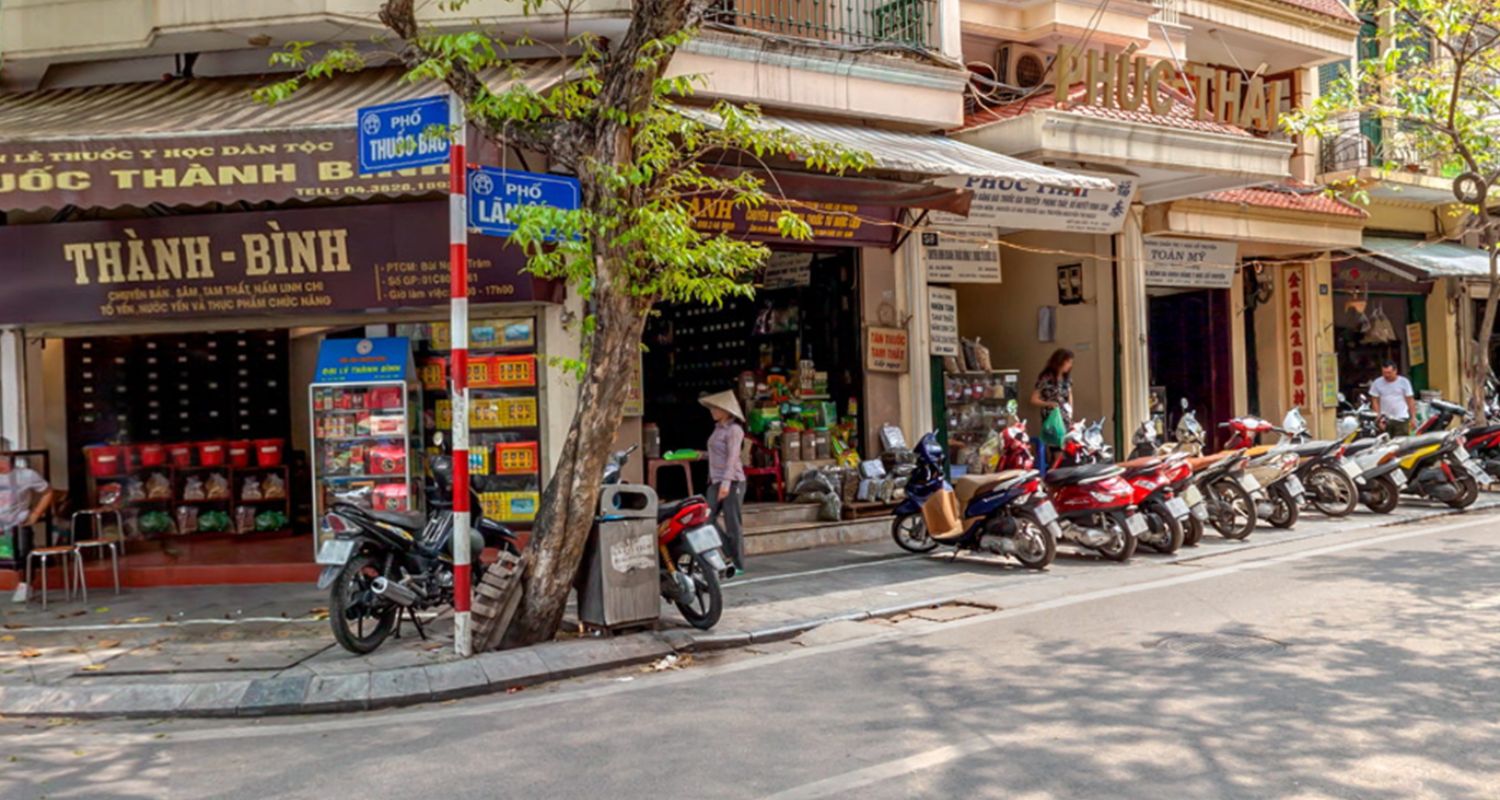 Introduction to traditional Vietnamese medicine