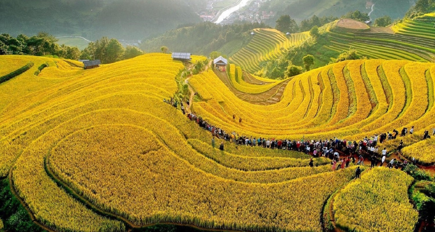 Vietnam du Nord, rizières et minorités