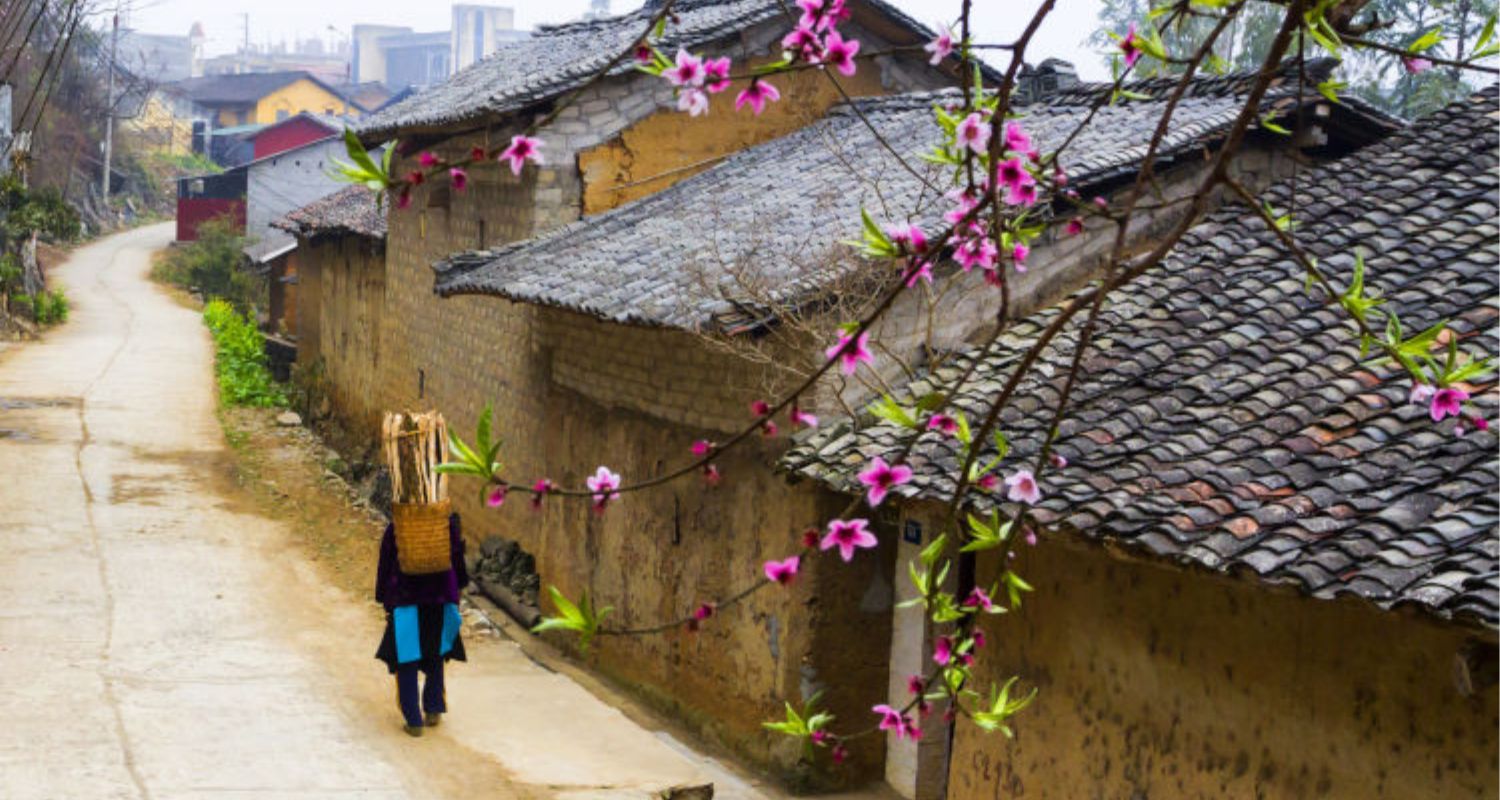 Les charmes du Tonkin