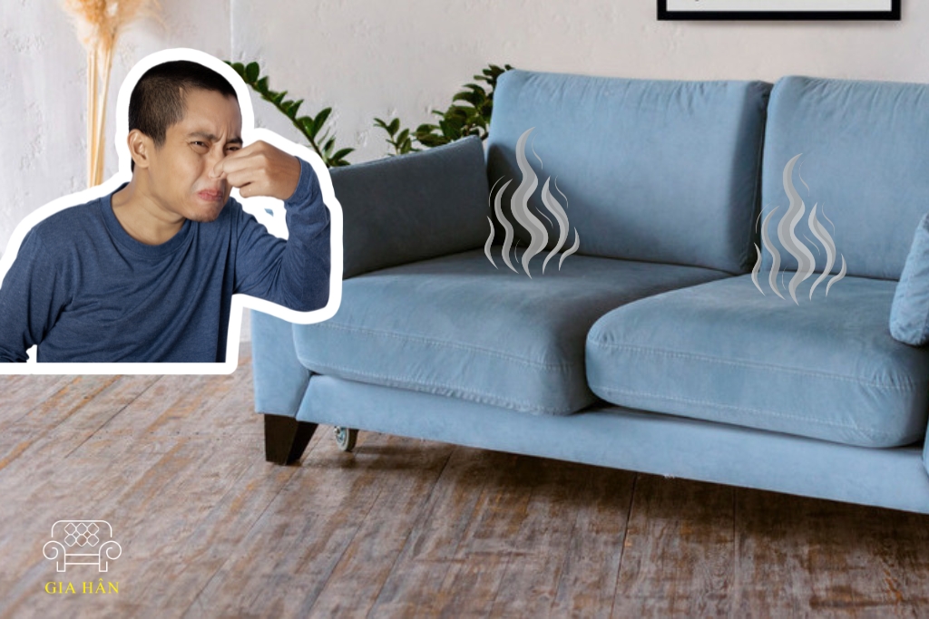 Cách khử mùi ghế sofa hiệu quả –  Sofa Gia Hân