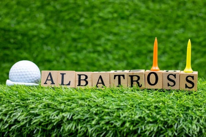 Albatross golf là gì