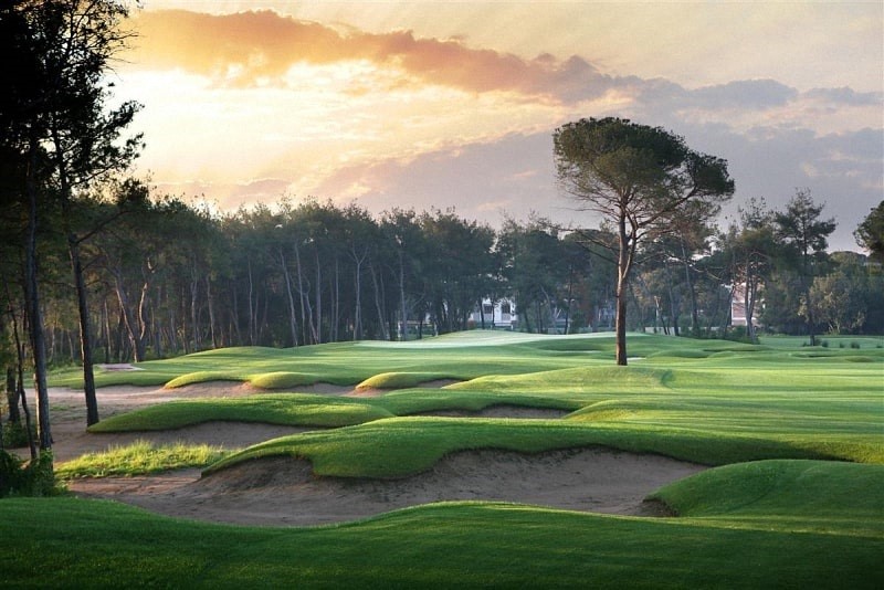 Chi tiết thiết kế sân golf Đại Phước
