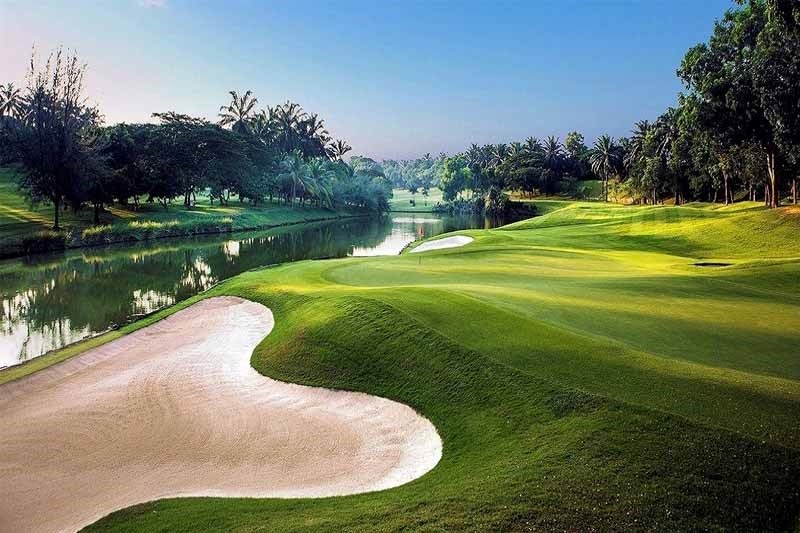 Sân Club được trải bằng loại cỏ Tip ton 328 – loại cỏ chất lượng hàng đầu