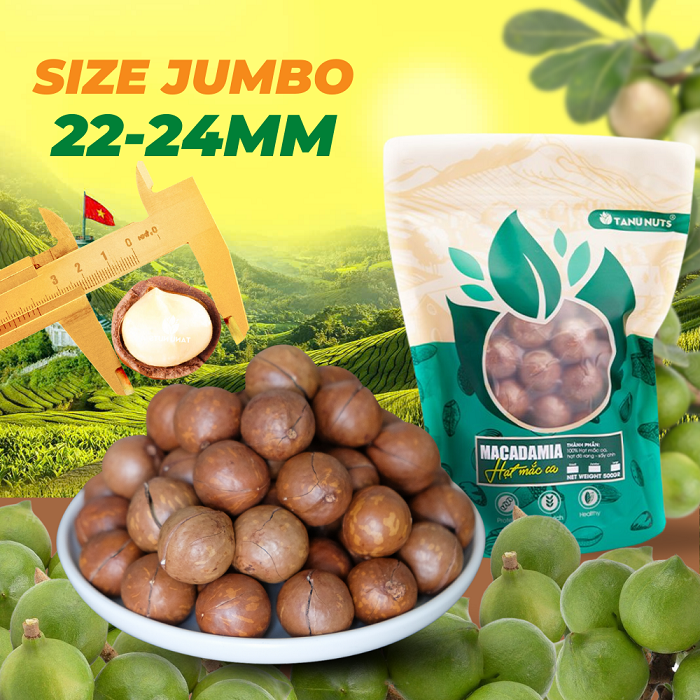 Hạt macca nứt vỏ TANU NUTS, hạt mắc ca Tây Nguyên đã rang sấy tốt cho bà bầu
