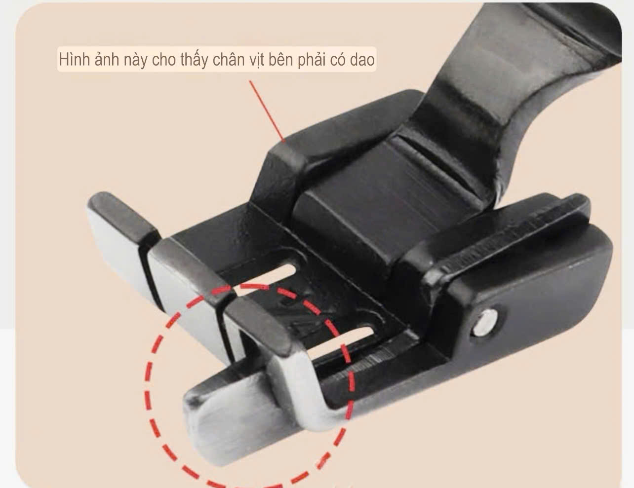 Chân vịt S570 DAYU MÍ 2 KIM TRÁI, PHẢI được dùng cho máy 2 kim công nghiệp LOẠI XỊN (giá 1 cái)