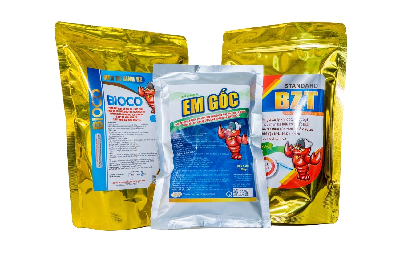 6 biện pháp xử lý nước ao nuôi tôm: Phòng tránh ô nhiễm hiệu quả