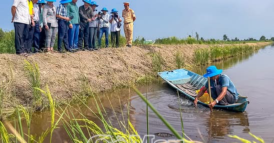 Hướng đi hiệu quả cho người nuôi tôm